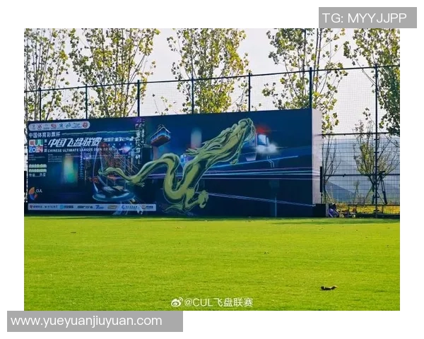 最新飞盘力量TOP10：重庆飞盘队领跑