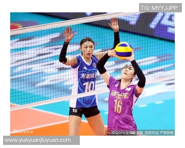 深度对话：陈丽的排球人生