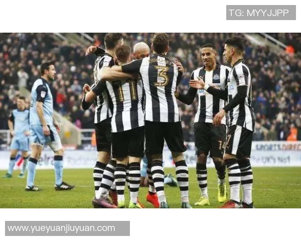 独家分析：南京网球队的团队协作对比