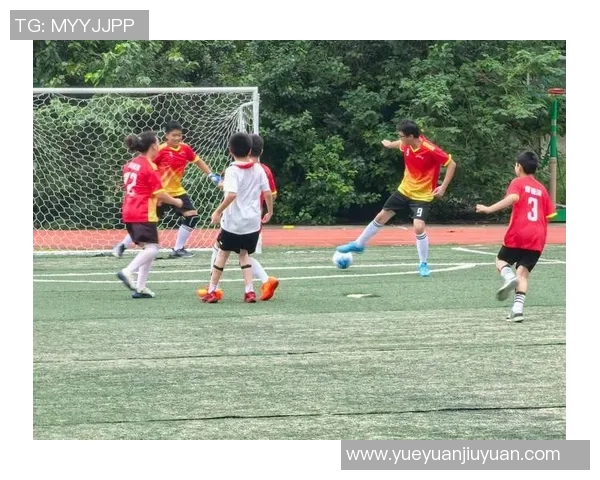 聚焦足球：杭州足球队的实力话题_1