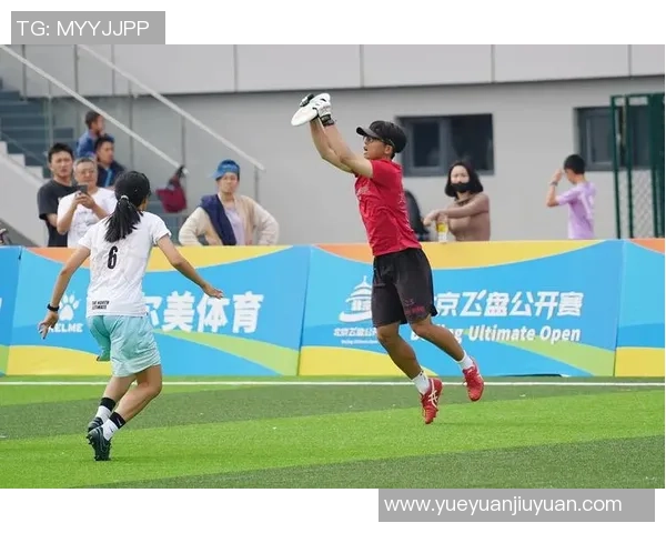 飞盘专题：聚焦北京飞盘队的节奏